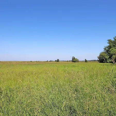 Ferienhaus Luessvitz Lussvitz